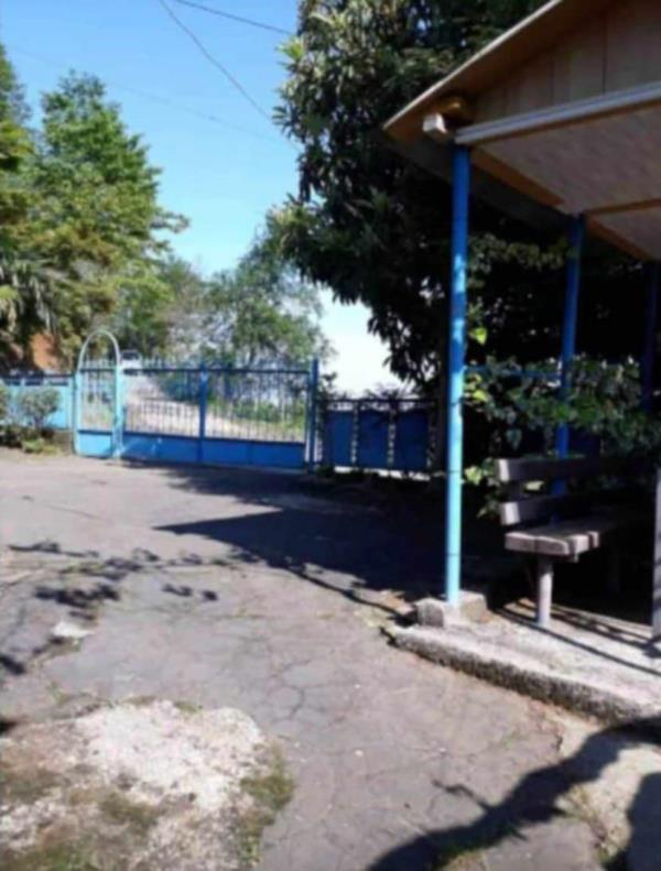 ჩაქვში ( სახლვაშოში) 3 000კვ მიწით. სასოფლო