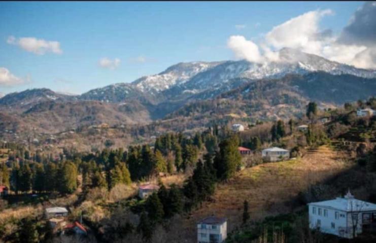 ჩაქვში ( სახლვაშოში) 3 000კვ მიწით. სასოფლო