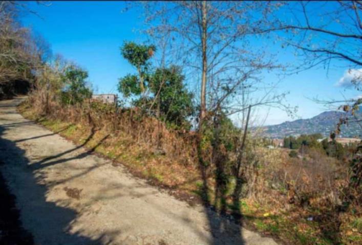 ჩაქვში ( სახლვაშოში) 3 000კვ მიწით. სასოფლო