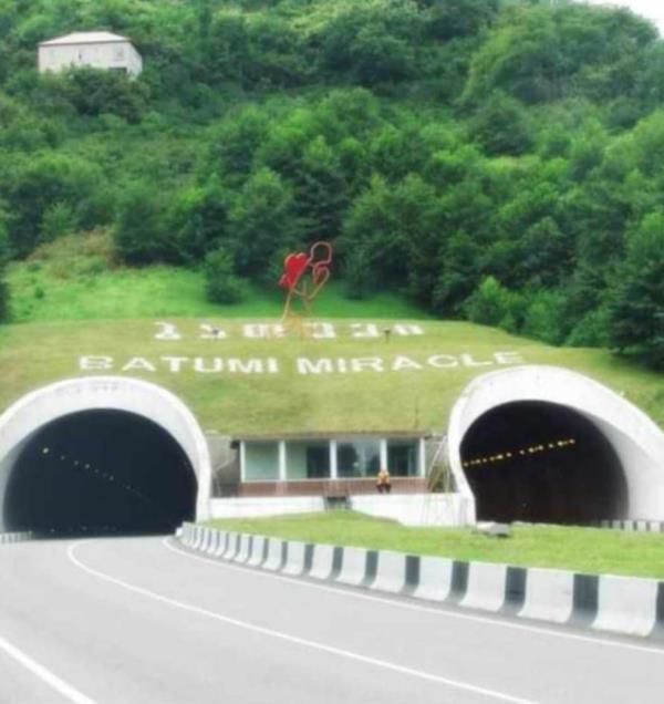 ჩაქვში ( სახლვაშოში) 3 000კვ მიწით. სასოფლო