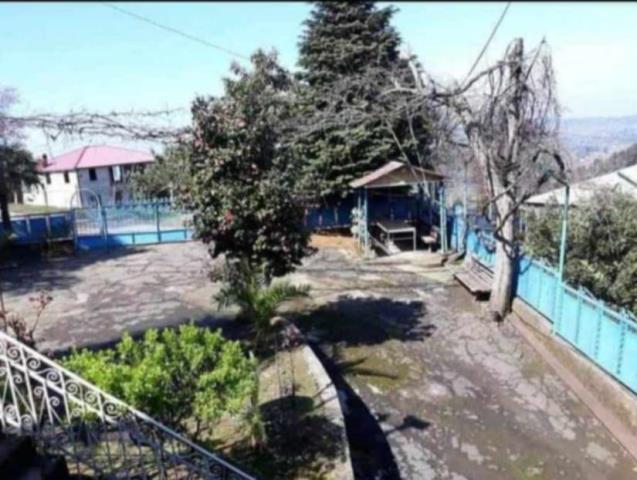 ჩაქვში ( სახლვაშოში) 3 000კვ მიწით. სასოფლო