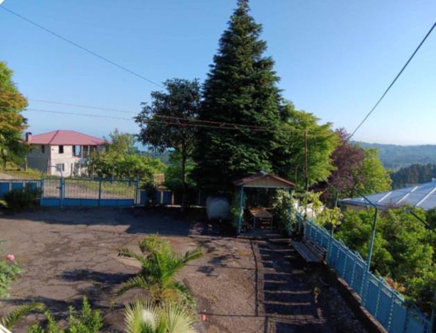 ჩაქვში ( სახლვაშოში) 3 000კვ მიწით. სასოფლო