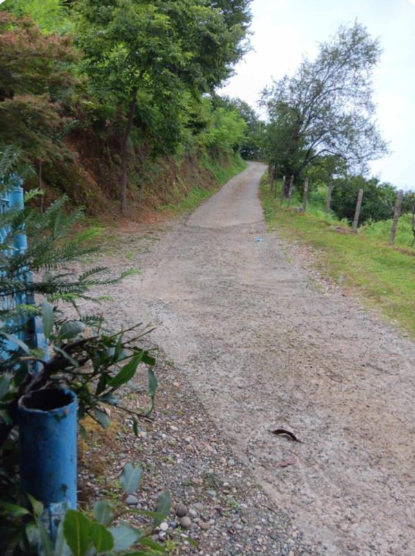 ჩაქვში ( სახლვაშოში) 3 000კვ მიწით. სასოფლო