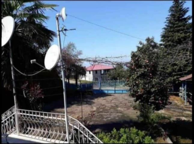 ჩაქვში ( სახლვაშოში) 3 000კვ მიწით. სასოფლო