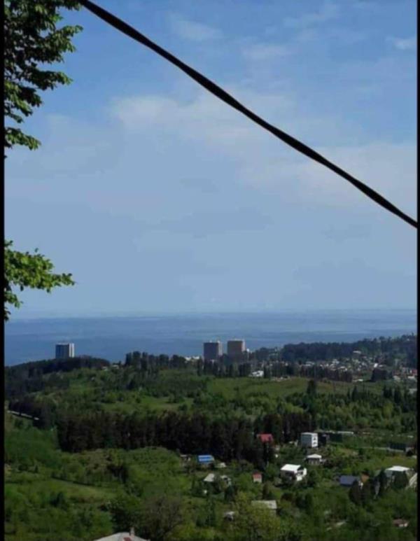 ჩაქვში ( სახლვაშოში) 3 000კვ მიწით. სასოფლო