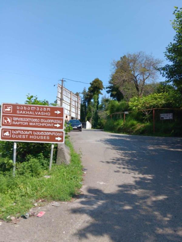 ჩაქვში ( სახლვაშოში) 3 000კვ მიწით. სასოფლო