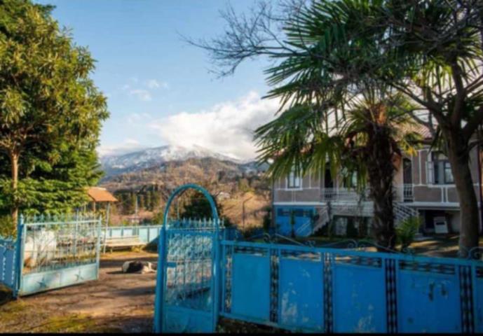 ჩაქვში ( სახლვაშოში) 3 000კვ მიწით. სასოფლო