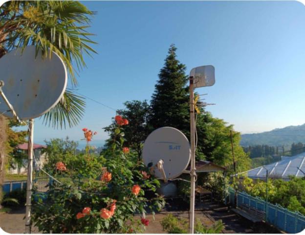 ჩაქვში ( სახლვაშოში) 3 000კვ მიწით. სასოფლო